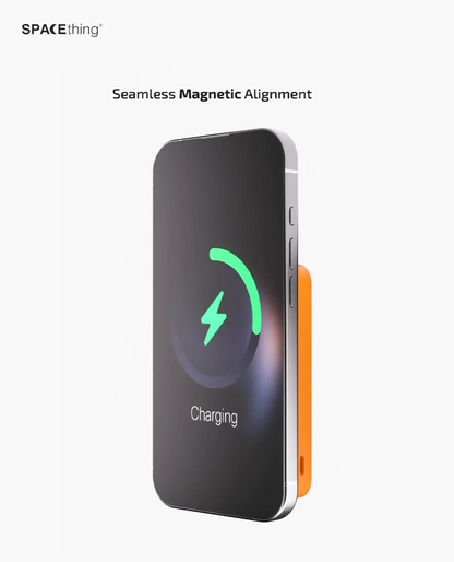 Spacething ROGER 10000mAH Power Bank