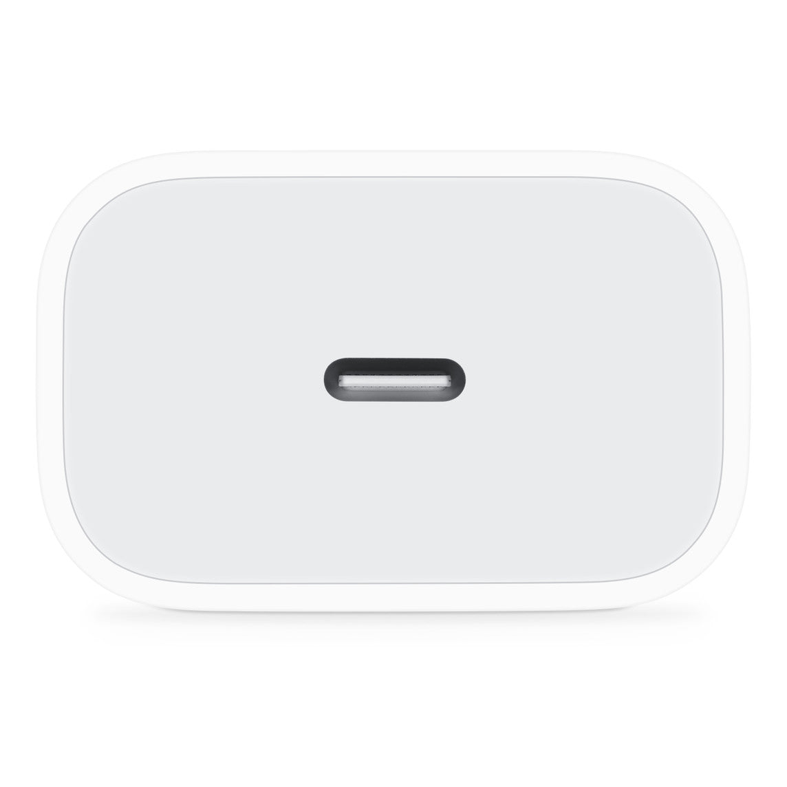 20W C-Type Charger [Adapter]