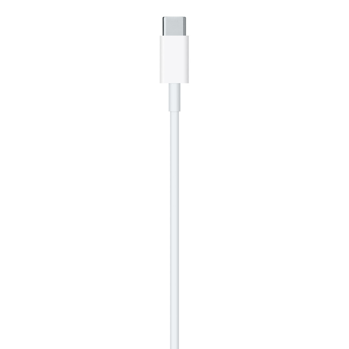 USB-C TO LIGHTNING CABLE (1M)